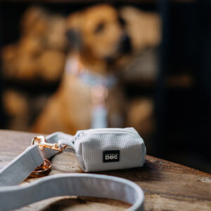 Bobkovník Moonlight