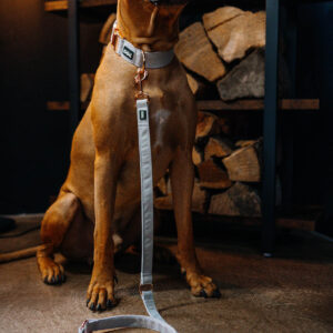 Přepínací vodítko Moonlight