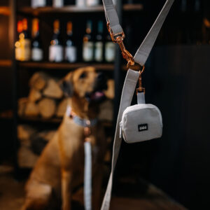 Pamlskovník Moonlight