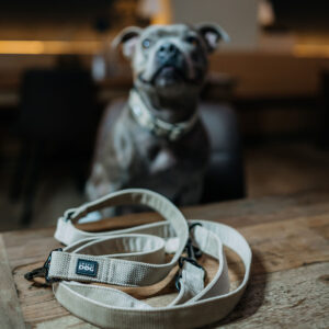 Přepínací vodítko Desert