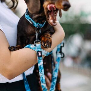 Vodítko Waves Přepínací vodítko pro psa