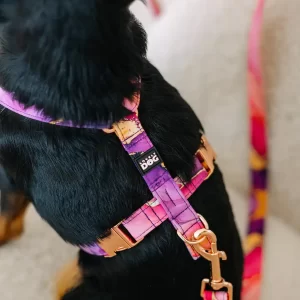 Postroj pro psa Kolekce Elegance Lovely dog Funkční praktický postroj