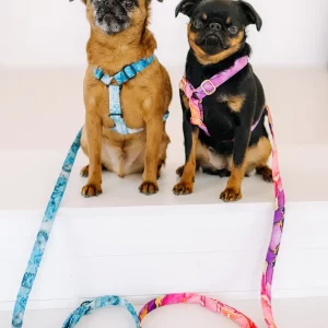 Vodítko s ručkou Vodítko Kolekce Waves Lovely dog