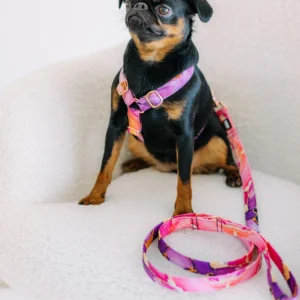 Vodítko Vodítko s ručkou Kolekce Elegance Lovely dog