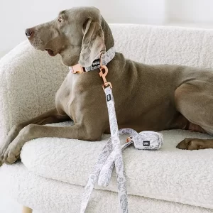 Vodítko s ručkou Kolekce Provence Vodítko pro psy Lovely dog