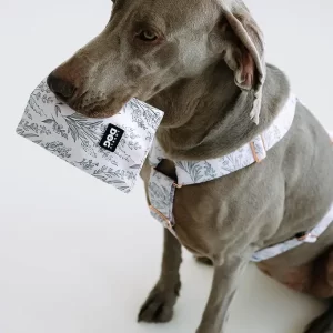 Lovely dog Kolekce Provence Obal na očkovací průkaz