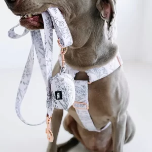 Postroj pro psy Kolekce Provence Lovely dog