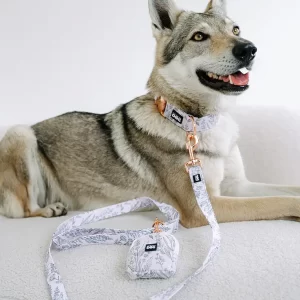 Obojek pro psy Kolekce Provence Lovely dog