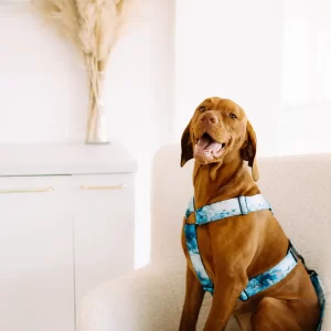 Vodítko Vodítko s ručkou Kolekce Waves Lovely dog