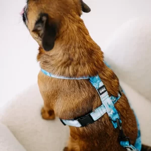 Postroj pro psa Kolekce Waves Lovely dog Funkční praktický postroj