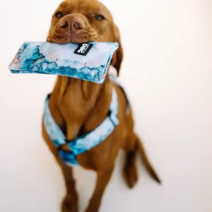 Obal na očkovací průkaz Kolekce Waves Lovely dog