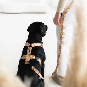 Postroj pro psy Lovely dog Kolekce Autumn Coffee