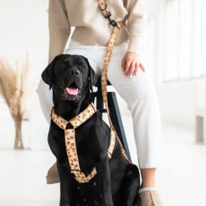 Postroj pro psy Lovely dog Kolekde Autumn Coffee