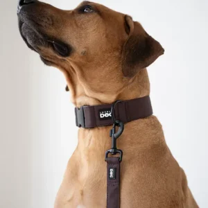 Obojek Lovely dog Kolekce Chocolate Brown