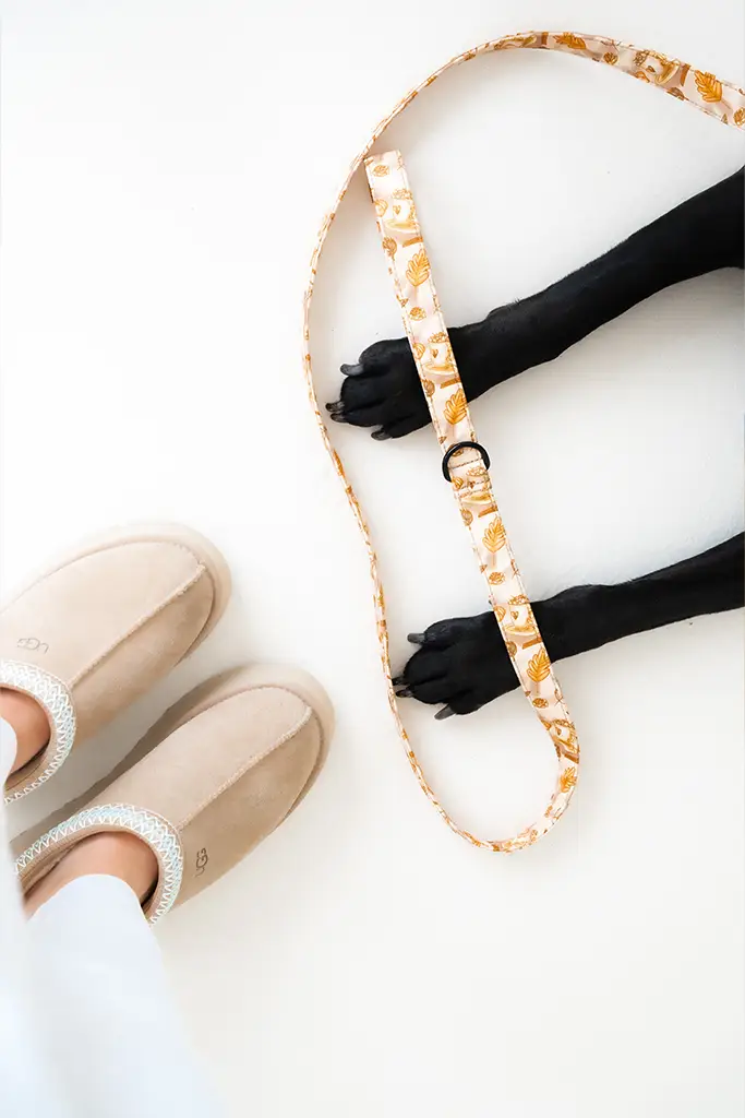 LovelyDog
